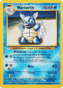 Wartortle 42/102