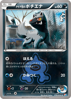 Team Aqua's Poochyena