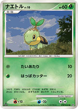 Turtwig