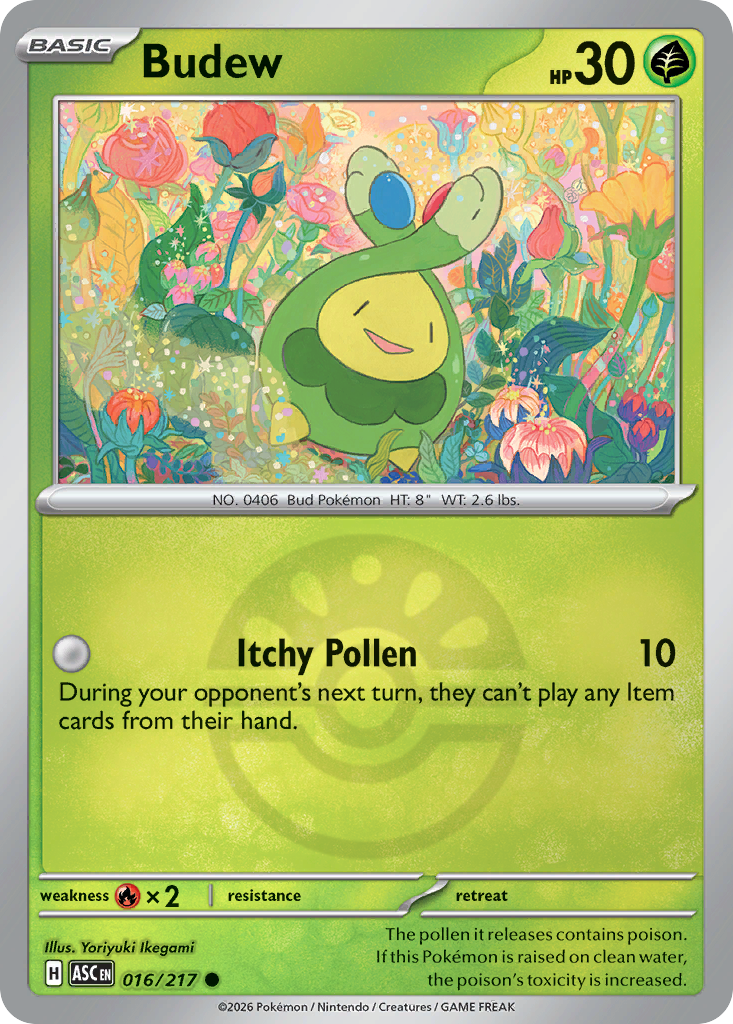 Budew 016/217 Ascended Heroes Pokémon card