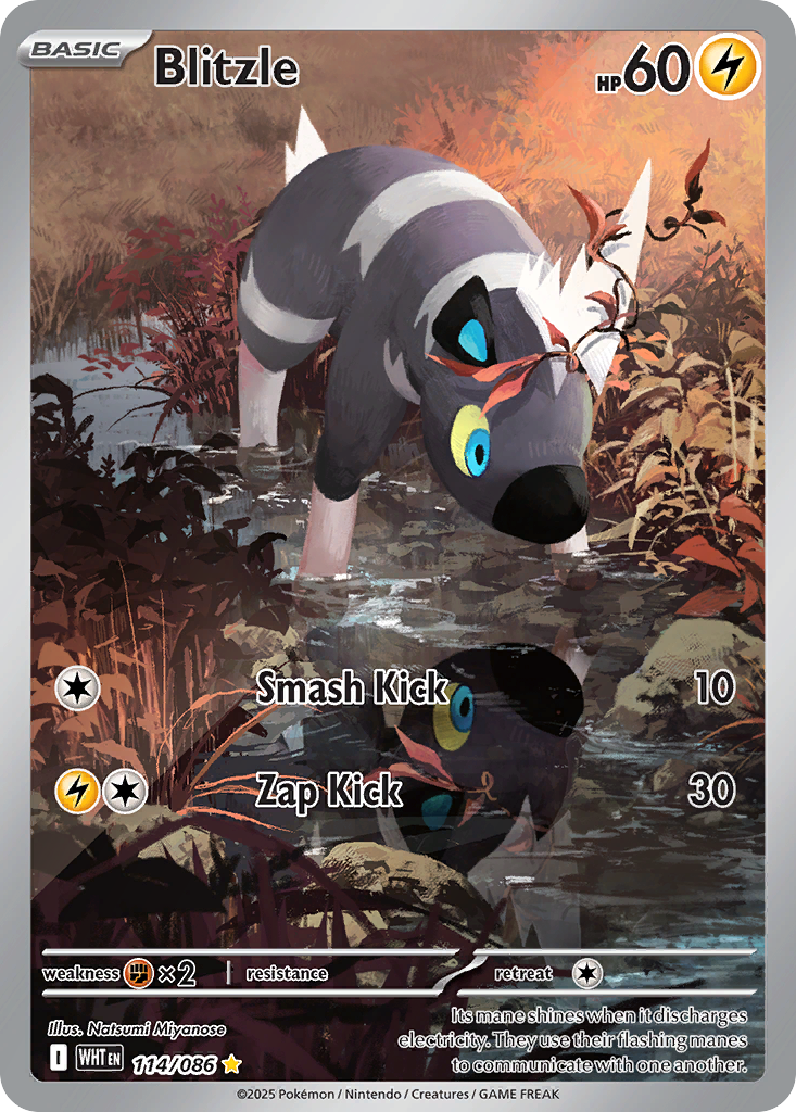 Blitzle