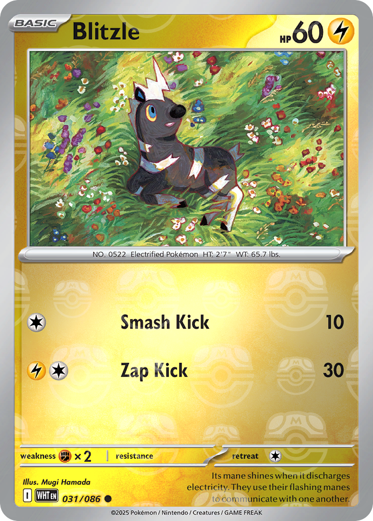 Blitzle 031/086 White Flare Pokémon card