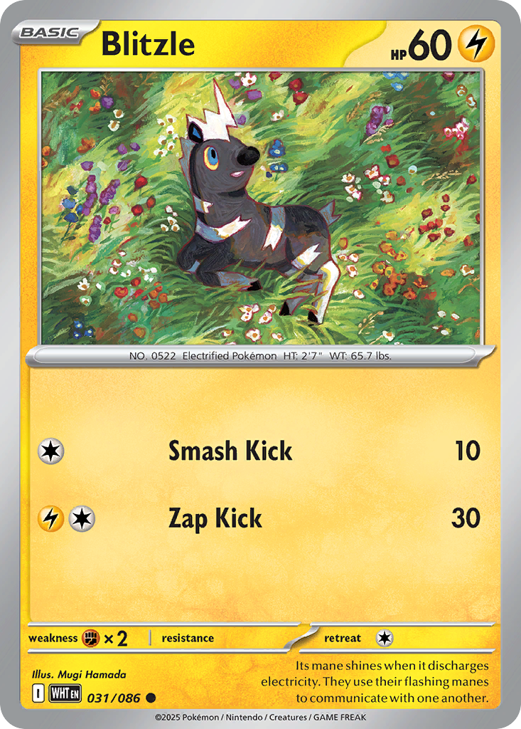 Blitzle 031/086 White Flare Pokémon card