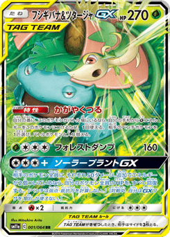 Venusaur & Snivy-GX