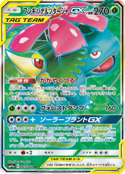 Venusaur & Snivy-GX