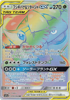 Venusaur & Snivy-GX