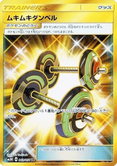 Bodybuilding Dumbbells