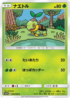 Turtwig