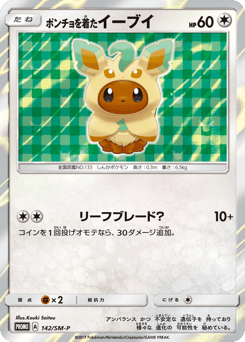 Poncho-wearing Eevee