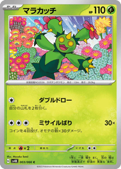 Maractus