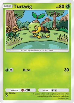 Turtwig
