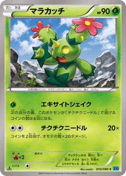 Maractus