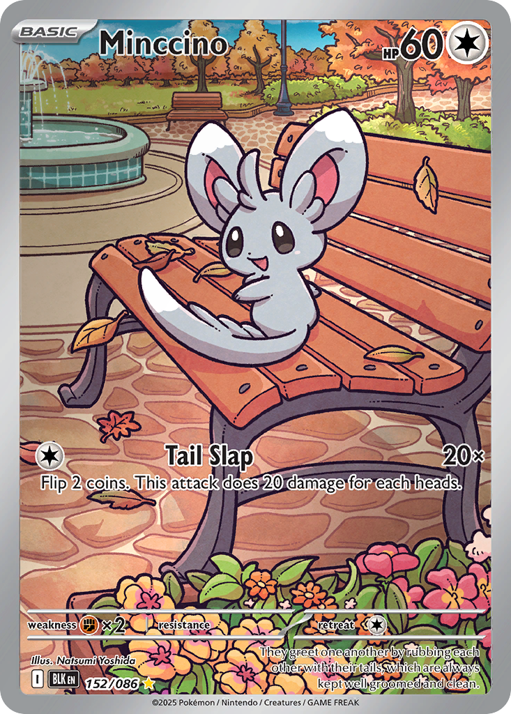 Minccino