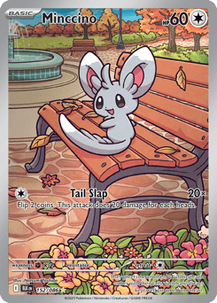 Minccino