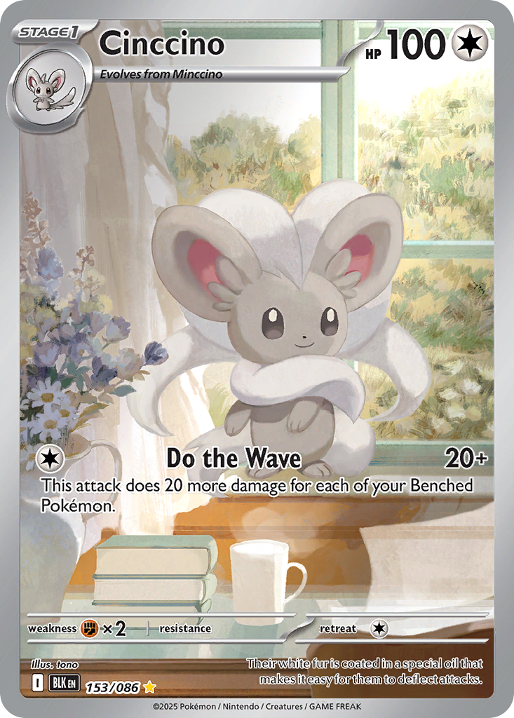 Cinccino