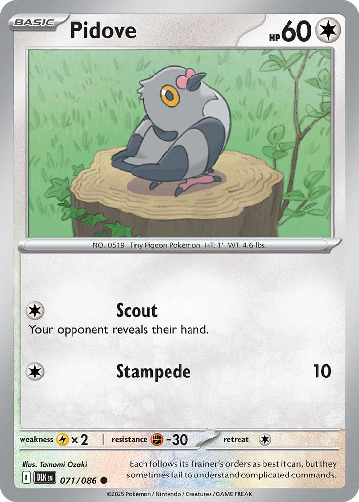 Pidove 071/086 Black Bolt Pokémon card
