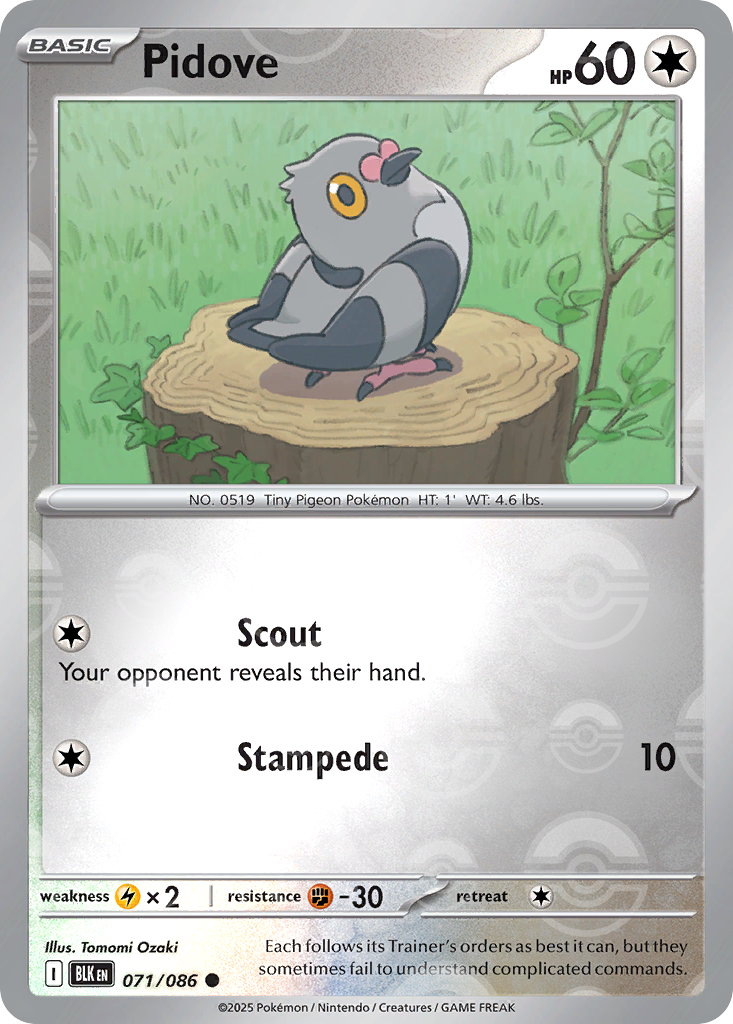 Pidove 071/086 Black Bolt Pokémon card