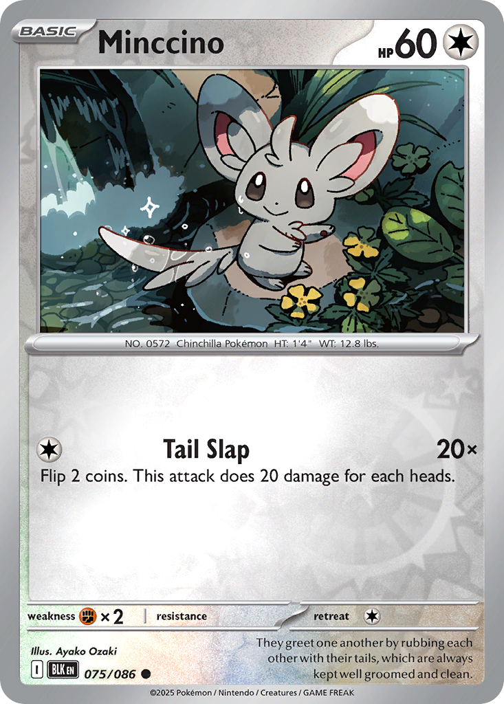 Minccino