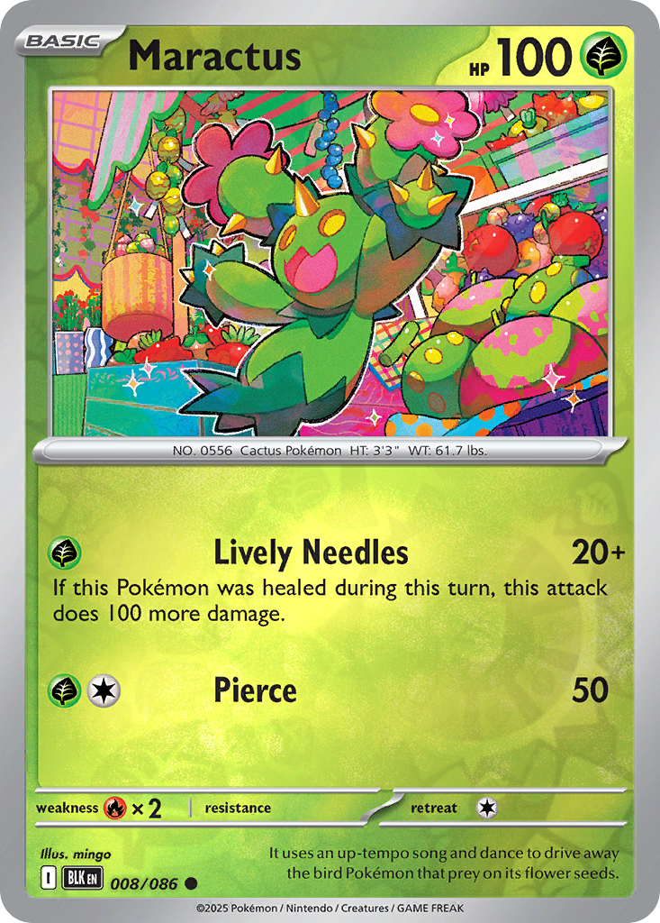 Maractus