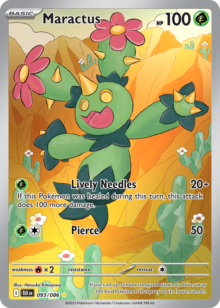 Maractus