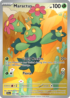 Maractus